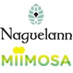 Naguelann, entre réussite et futurs projets – News