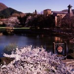 La distillerie Miyagikyo