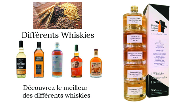 Coffret de dégustation Différents types de Whisky #3