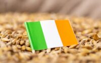 La législaton irlandaise sur le whisky après son évolution